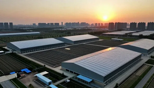 需求反馈在技术开发中的关键作用与实际应用